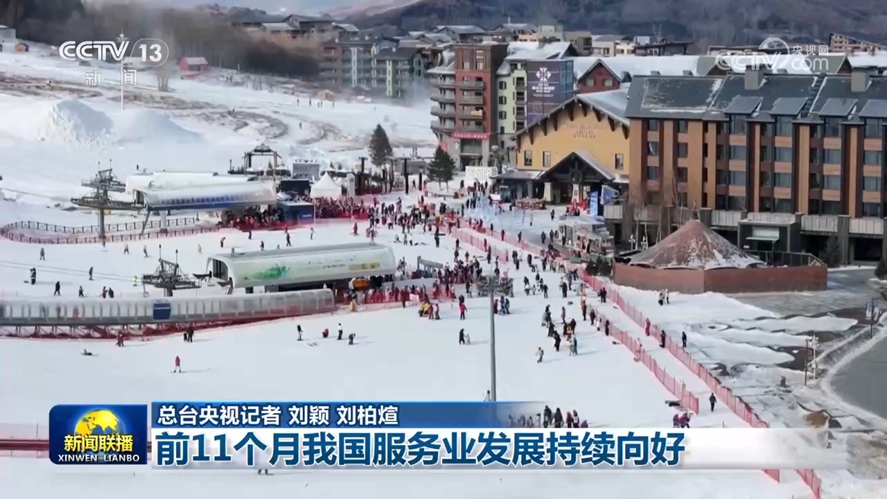 前11个月我国服务业发展持续向好