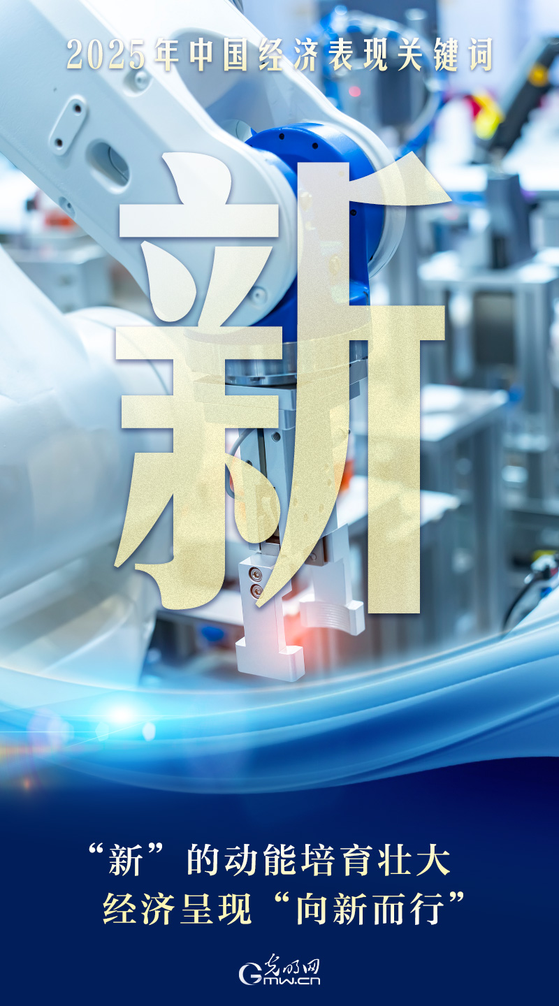 2025中国经济顶压前行 “稳进新韧”绘就向新向优发展新图景
