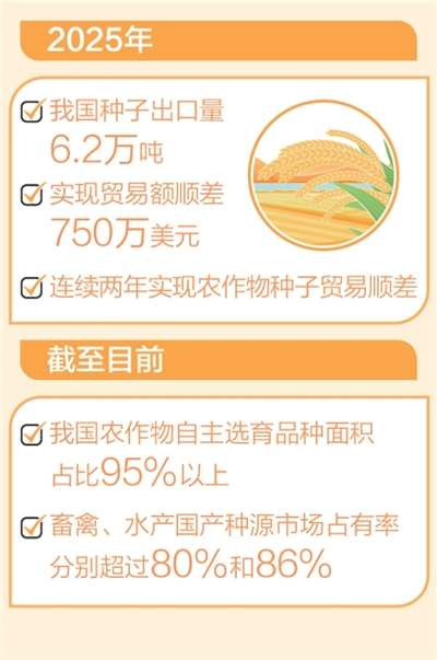 “中国粮”主要用上了“中国种”