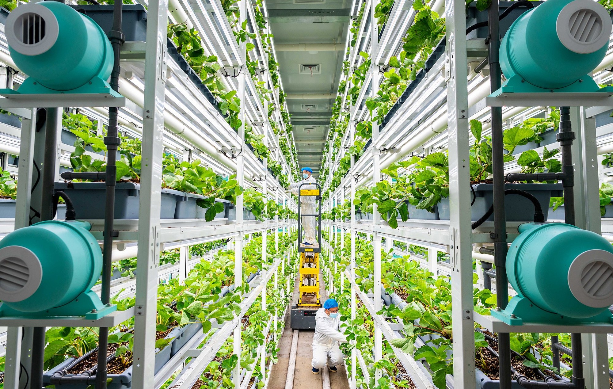 “十五五”开局!新质生产力赋能 中国农业现代化“智慧大升级”