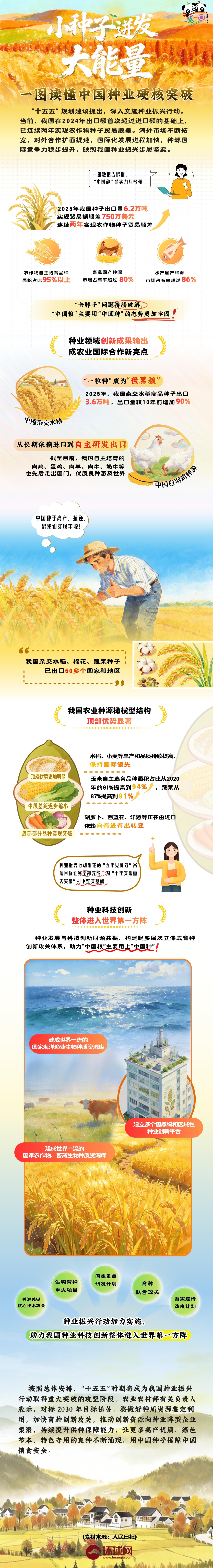 理响中国｜创意图解：小种子迸发大能量！一图读懂中国种业硬核突破