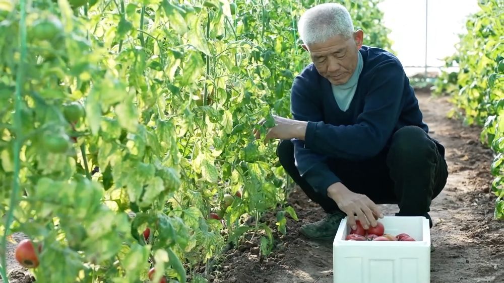 年味渐浓 新春的幸福与活力涌动