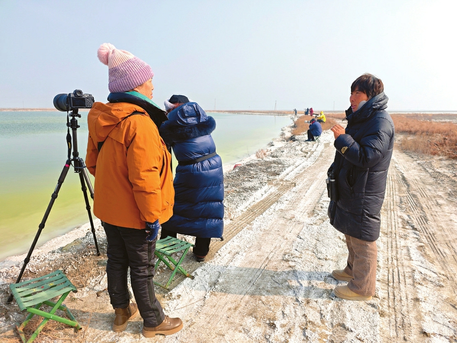 新春走基层｜盐湖岸畔 “鸟导”老徐的守候