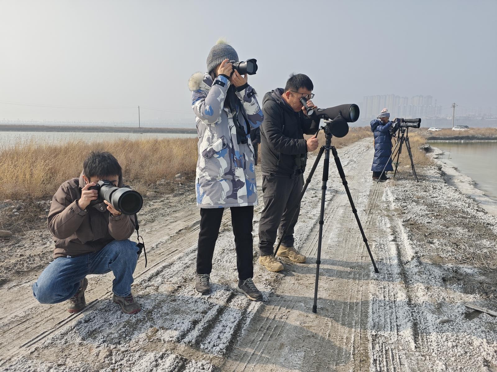 新春走基层｜盐湖岸畔 “鸟导”老徐的守候