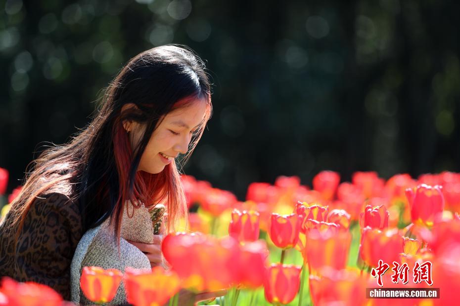云南永仁方山百花争艳游人如织