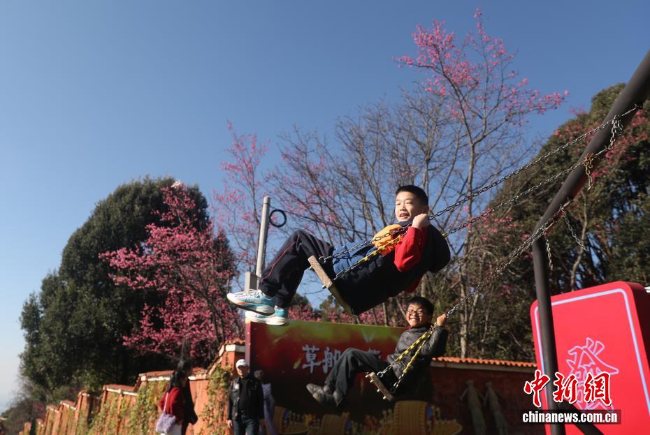 云南永仁方山百花争艳游人如织