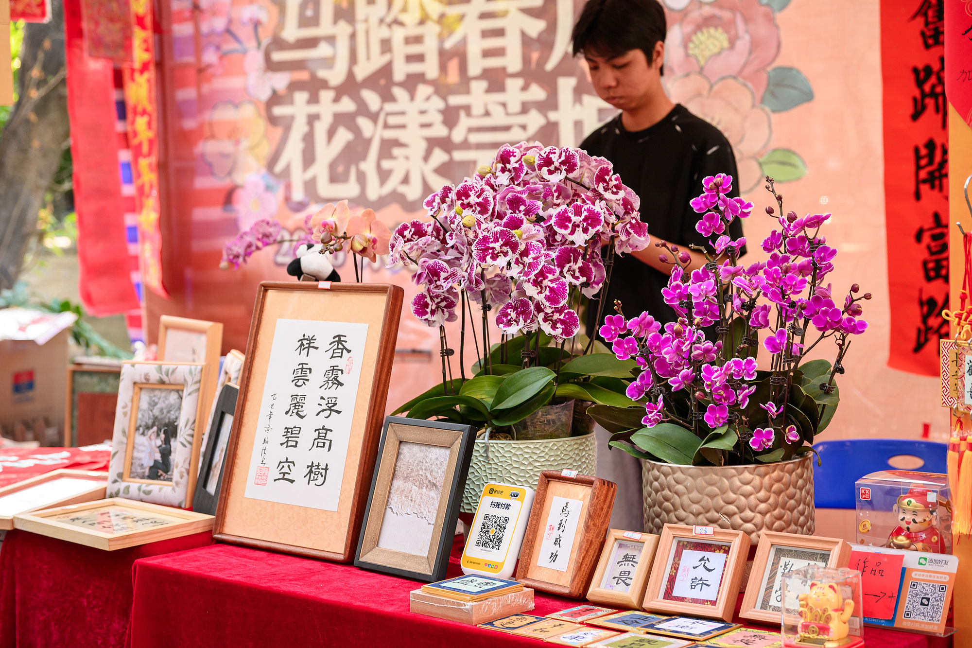 晶采观察丨四大新变化!解锁2026马年“新年味”