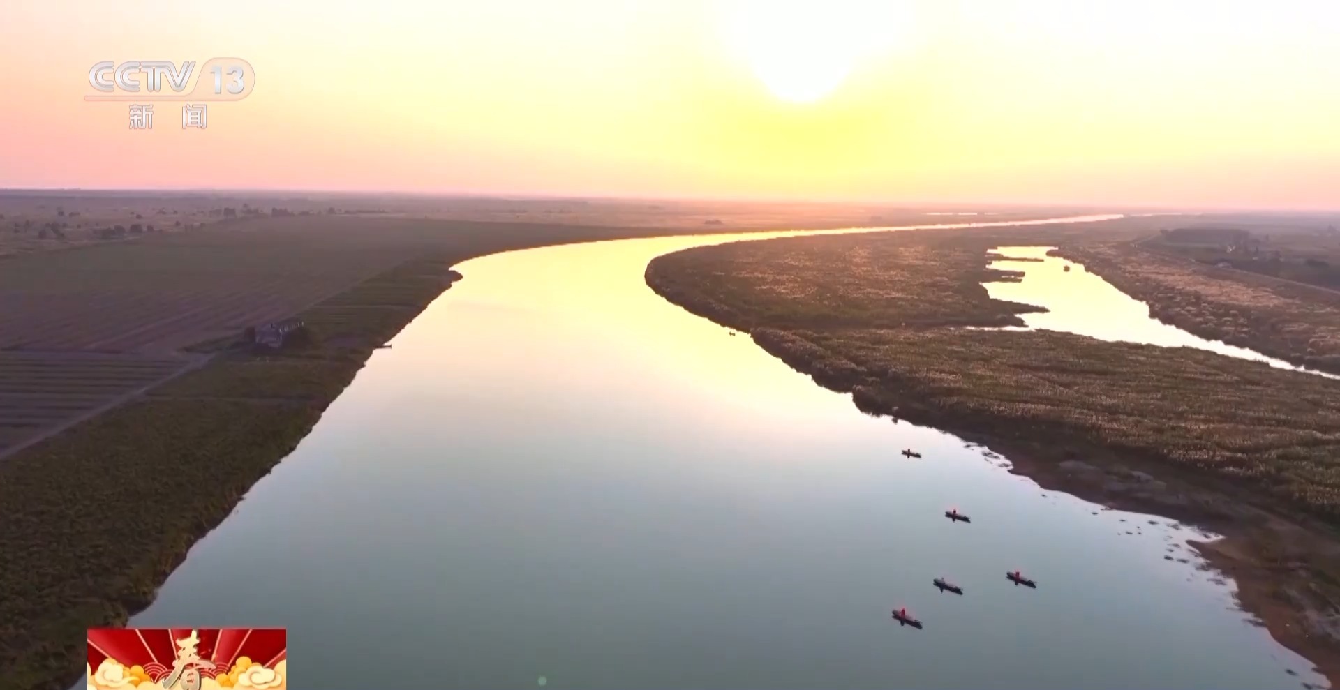 新春走基层丨父子接力书写洞庭湖畔的护鸟故事