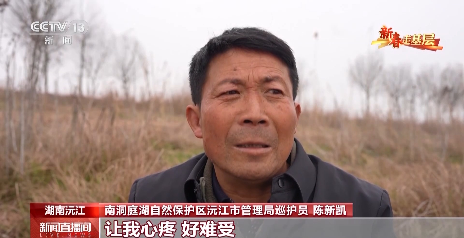 新春走基层丨父子接力书写洞庭湖畔的护鸟故事