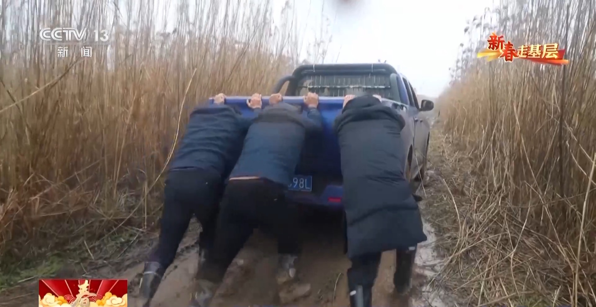 新春走基层丨父子接力书写洞庭湖畔的护鸟故事