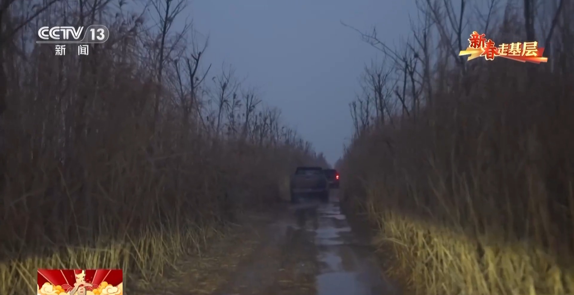 新春走基层丨父子接力书写洞庭湖畔的护鸟故事