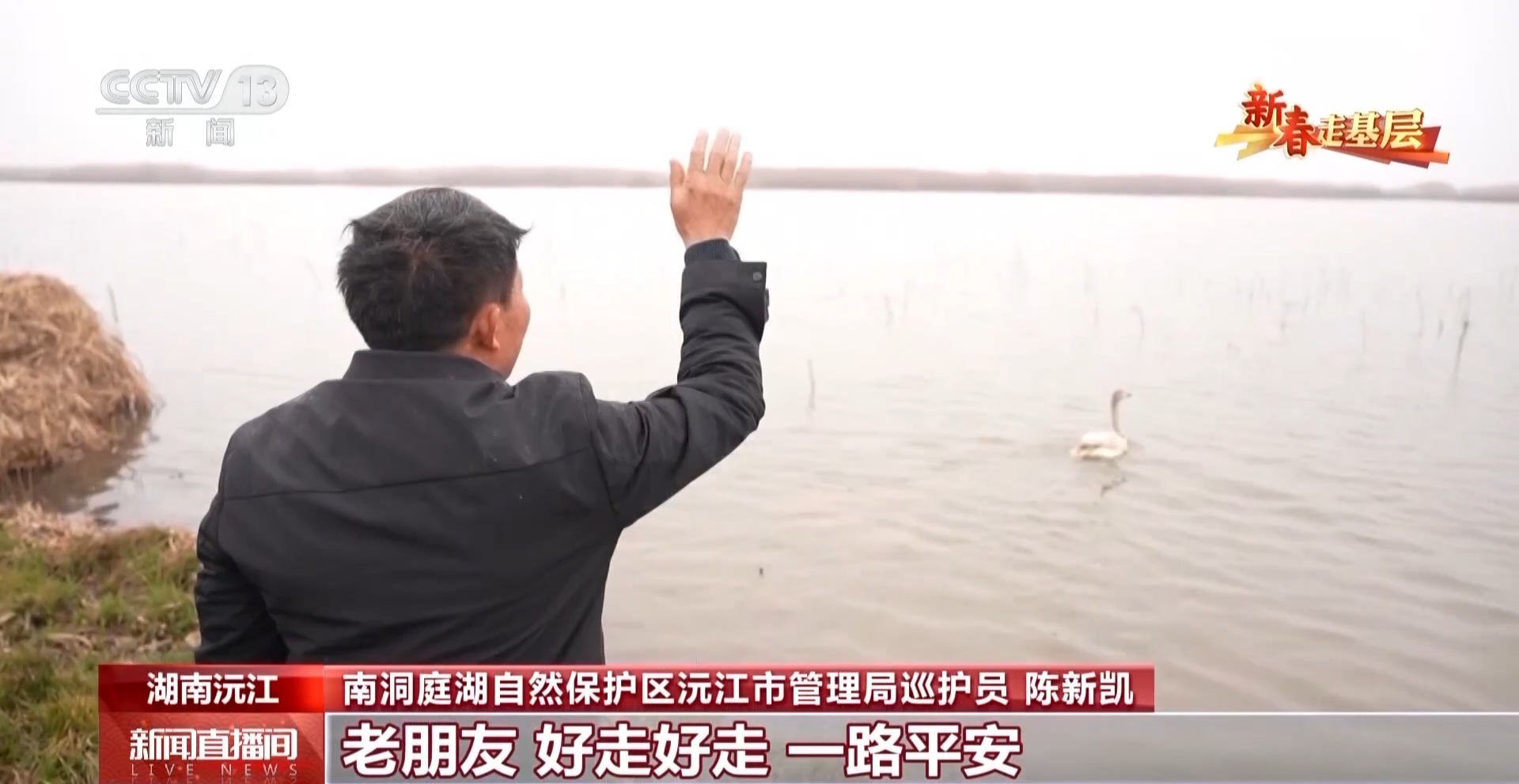 新春走基层丨父子接力书写洞庭湖畔的护鸟故事