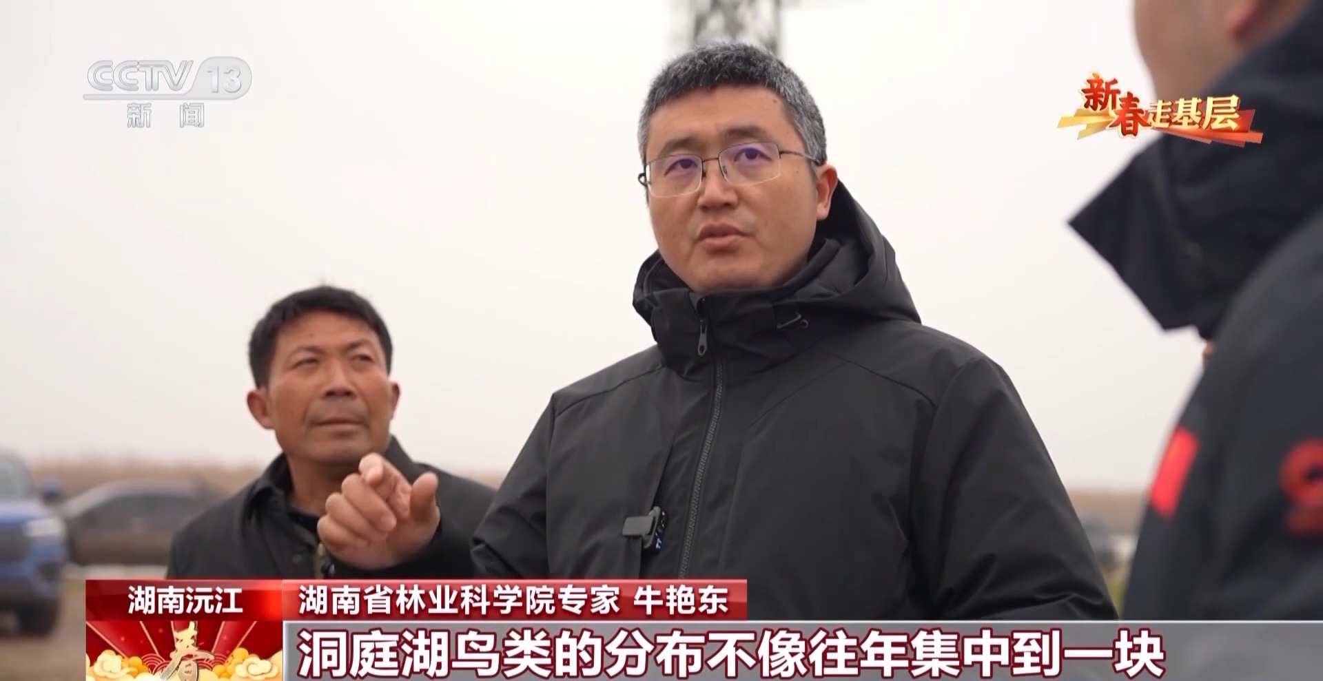 新春走基层丨父子接力书写洞庭湖畔的护鸟故事