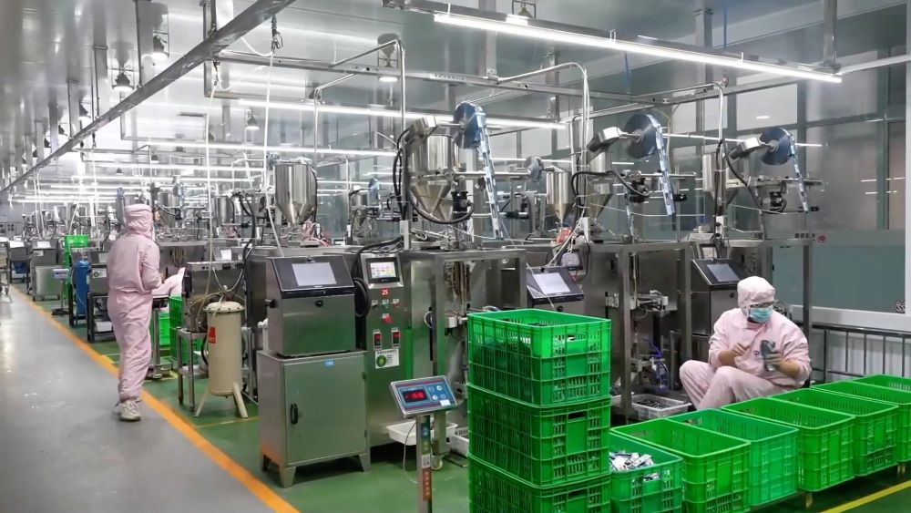 新华视点｜春潮涌动启新程 高质量发展提质提速