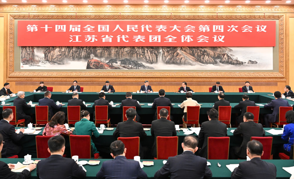 两会新华社快讯：习近平参加江苏代表团审议