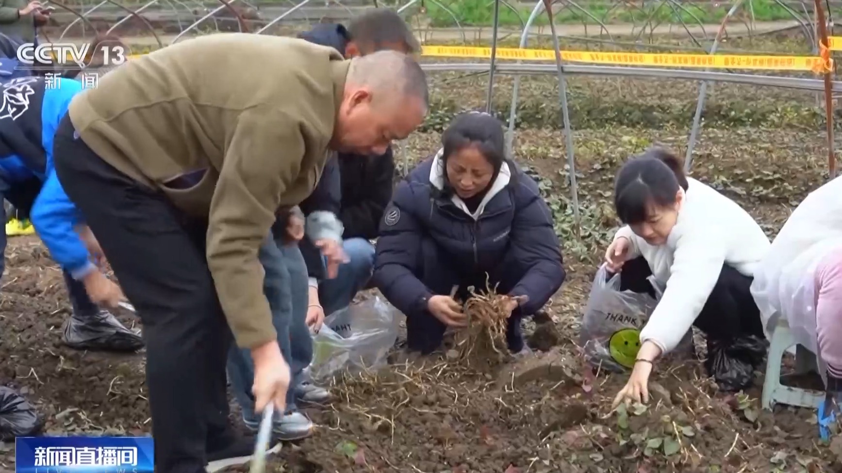 视频丨沉浸式当演员、挖野菜 体验经济让文化旅游有了新玩法