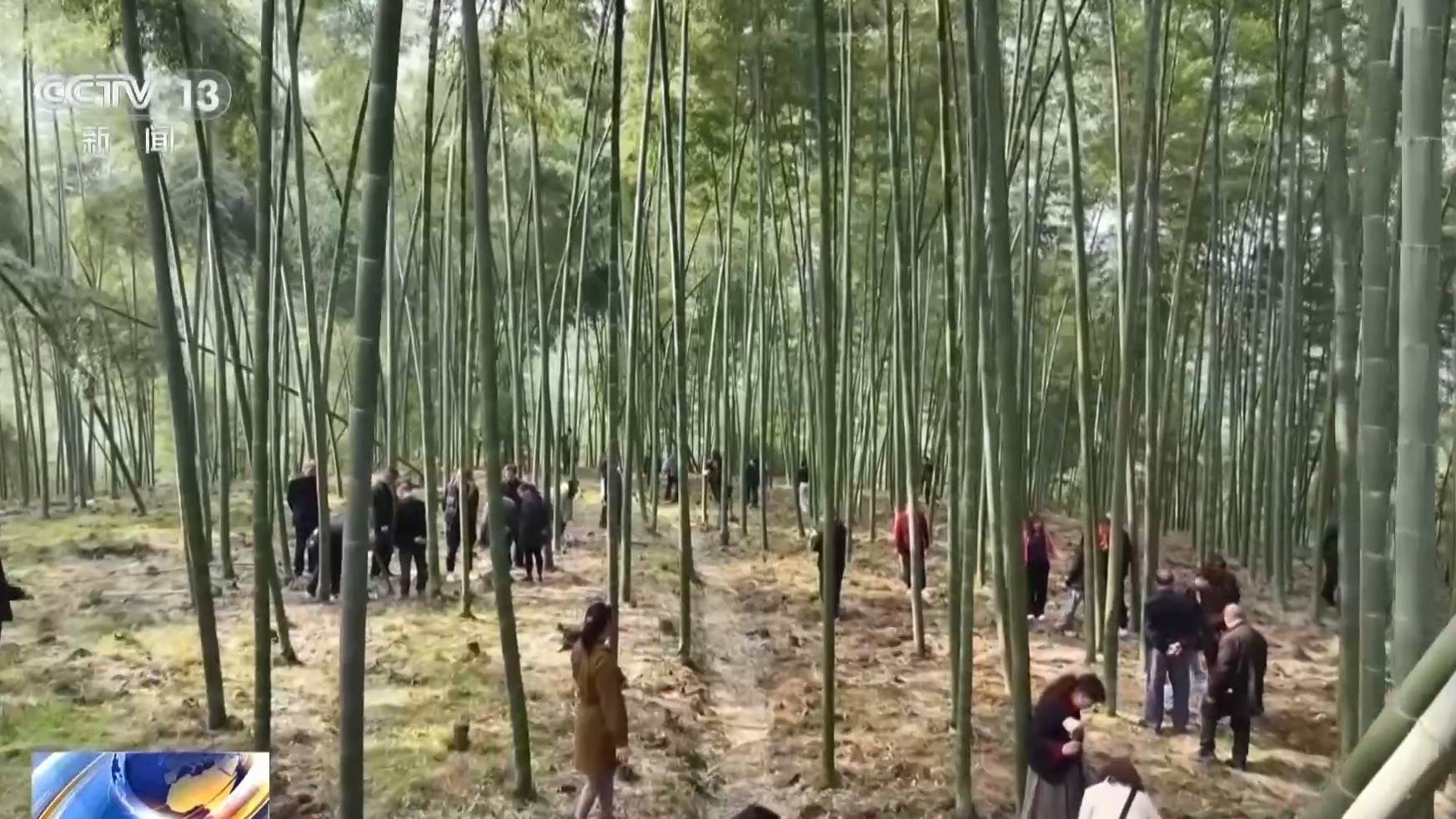 视频丨沉浸式当演员、挖野菜 体验经济让文化旅游有了新玩法