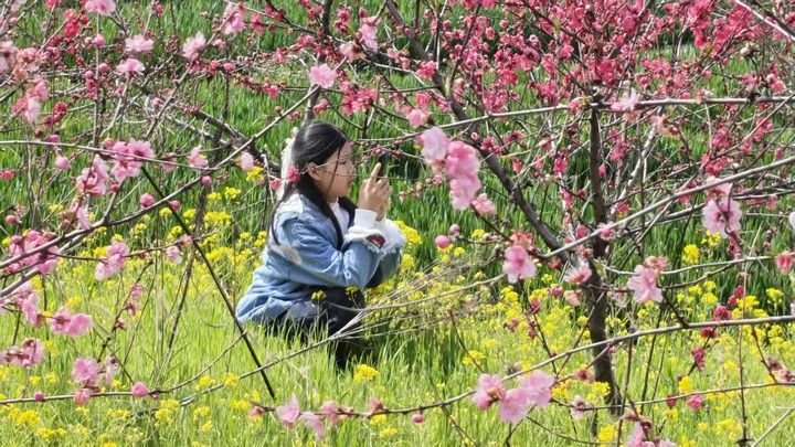 不只远观，多地推春日“玩花”文旅项目