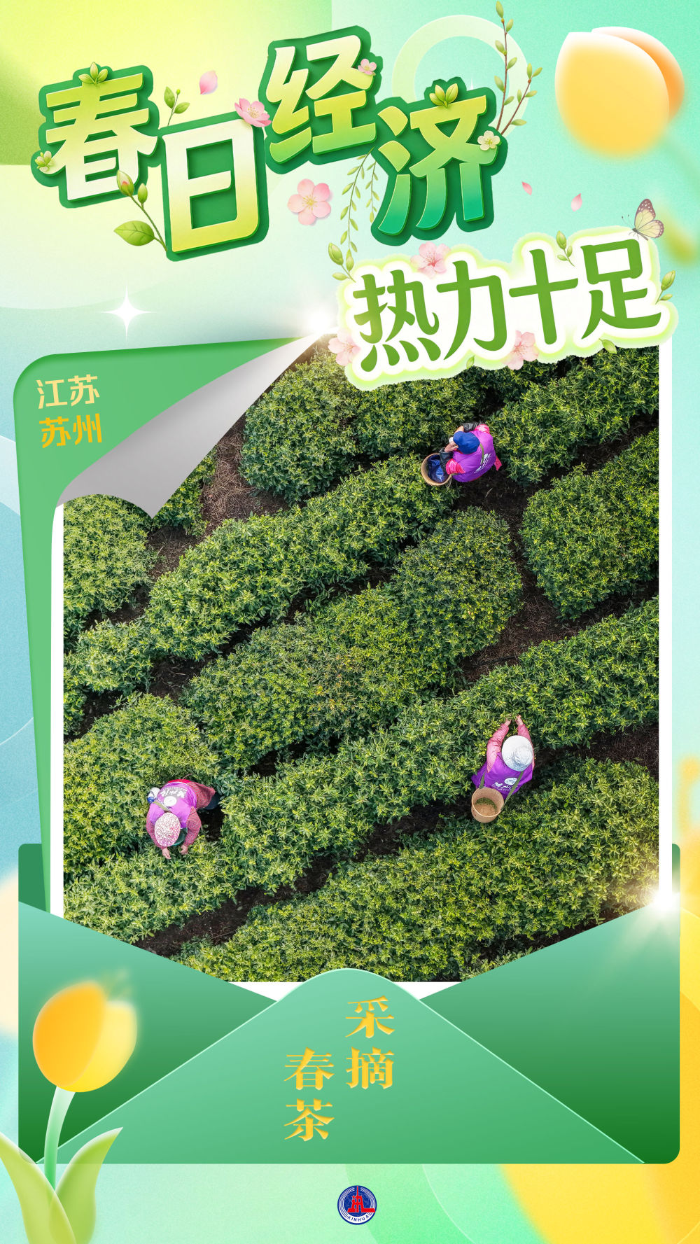 海报丨“春日经济”热力十足