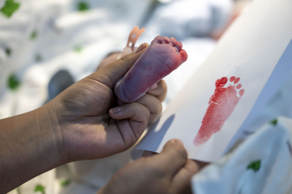 西藏百万农奴解放67周年｜雪域长歌奏华章