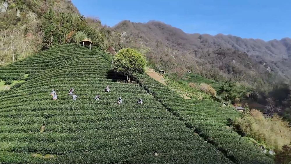 新华视点｜文旅融合促消费 春日经济持续升温