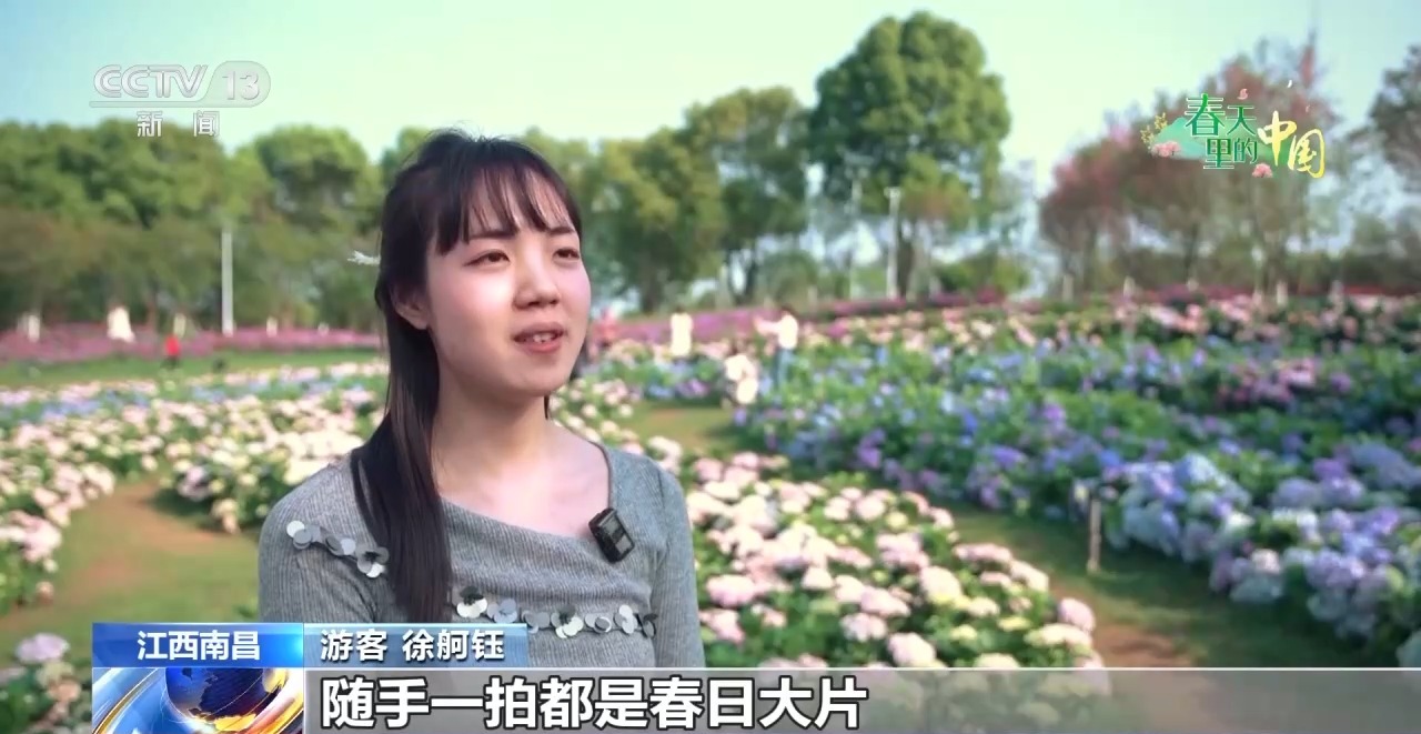 视频丨樱花漫山、山桃映古建……清明踏青地图请收好