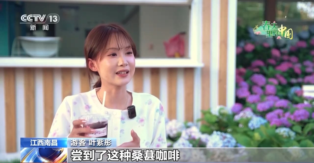 视频丨樱花漫山、山桃映古建……清明踏青地图请收好