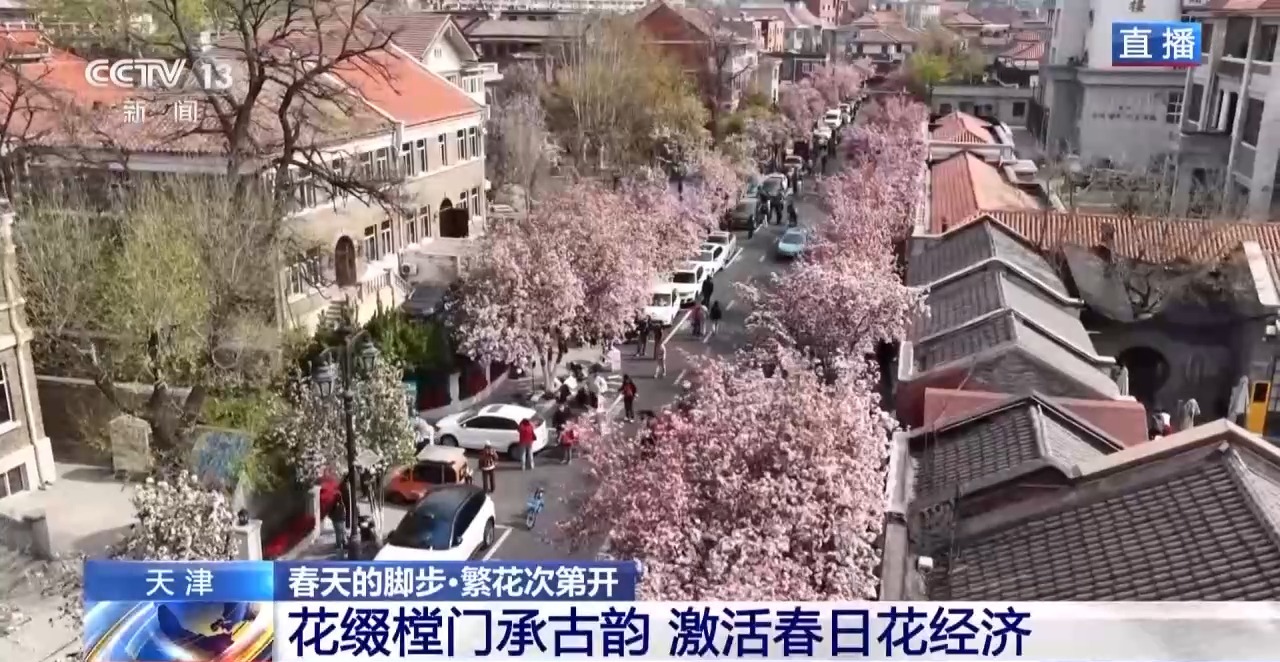 视频丨南北春花次第开放 “赏花经济”解锁农文旅融合新业态