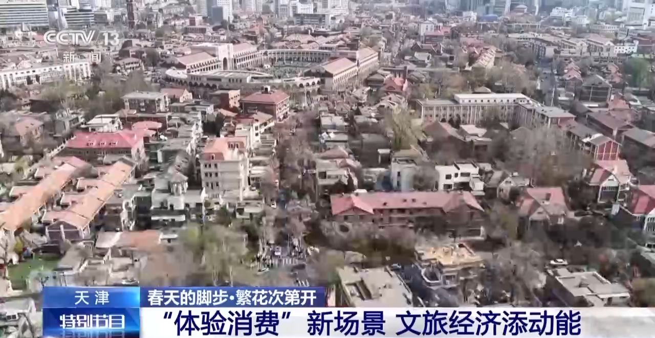 视频丨南北春花次第开放 “赏花经济”解锁农文旅融合新业态