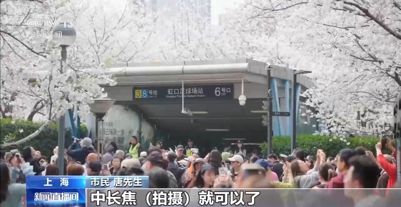 踏青赏花正当时 乘坐列车打卡各地的春天