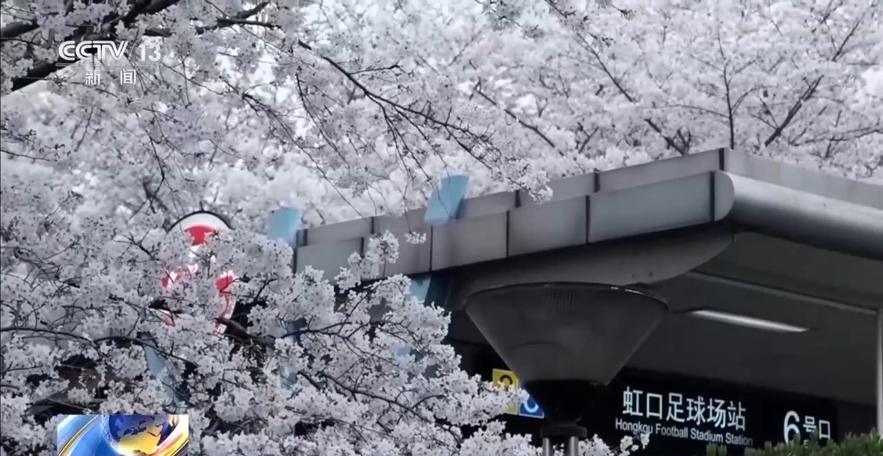 踏青赏花正当时 乘坐列车打卡各地的春天