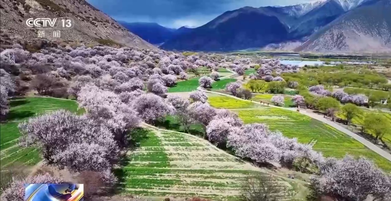 踏青赏花正当时 乘坐列车打卡各地的春天