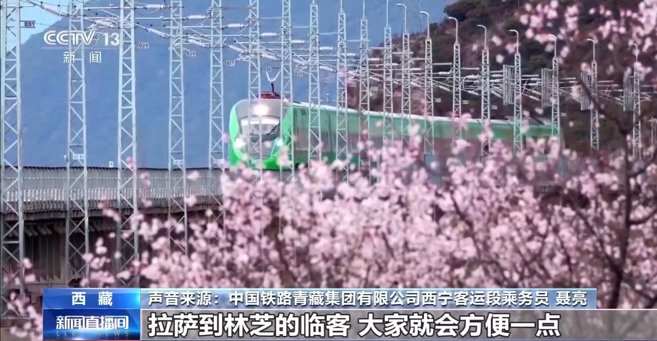 踏青赏花正当时 乘坐列车打卡各地的春天