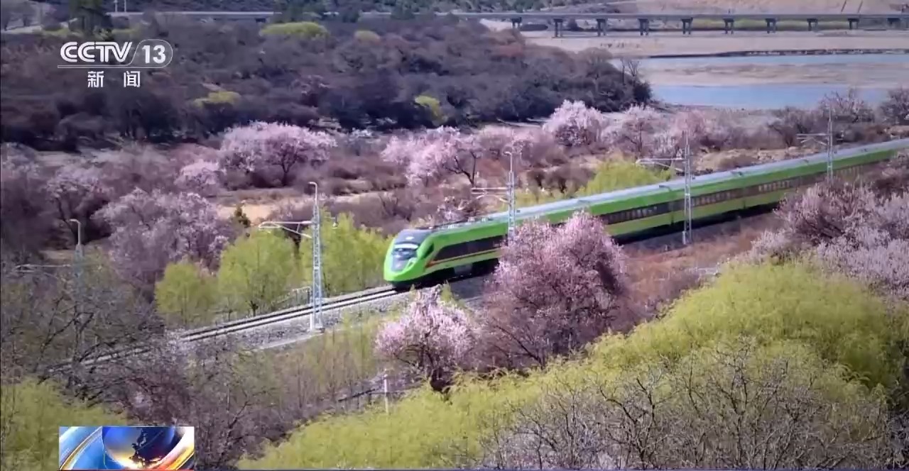 踏青赏花正当时 乘坐列车打卡各地的春天