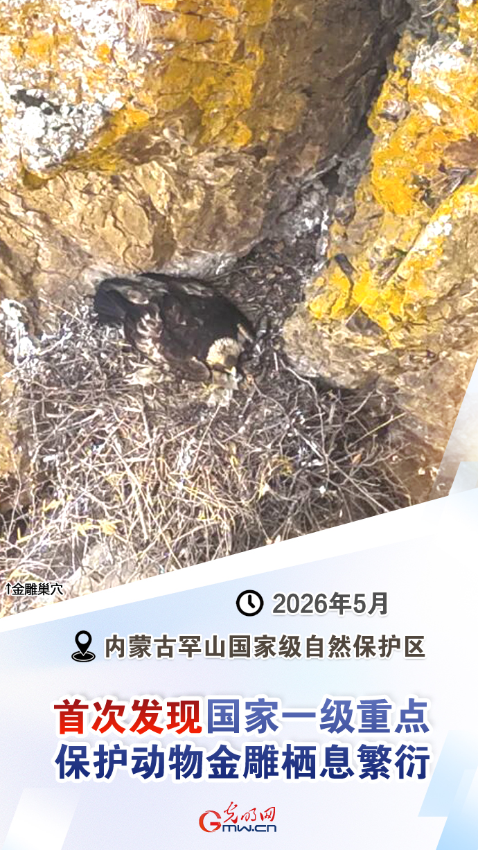 【国际生物多样性日】这些“首次”见证生态环境持续向好 【国际生物多样性日】这些“首次”见证生态环境持续向好