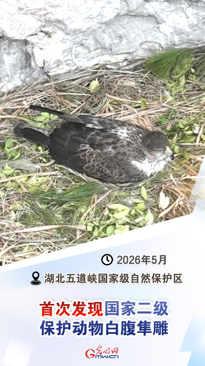 【国际生物多样性日】这些“首次”见证生态环境持续向好 【国际生物多样性日】这些“首次”见证生态环境持续向好