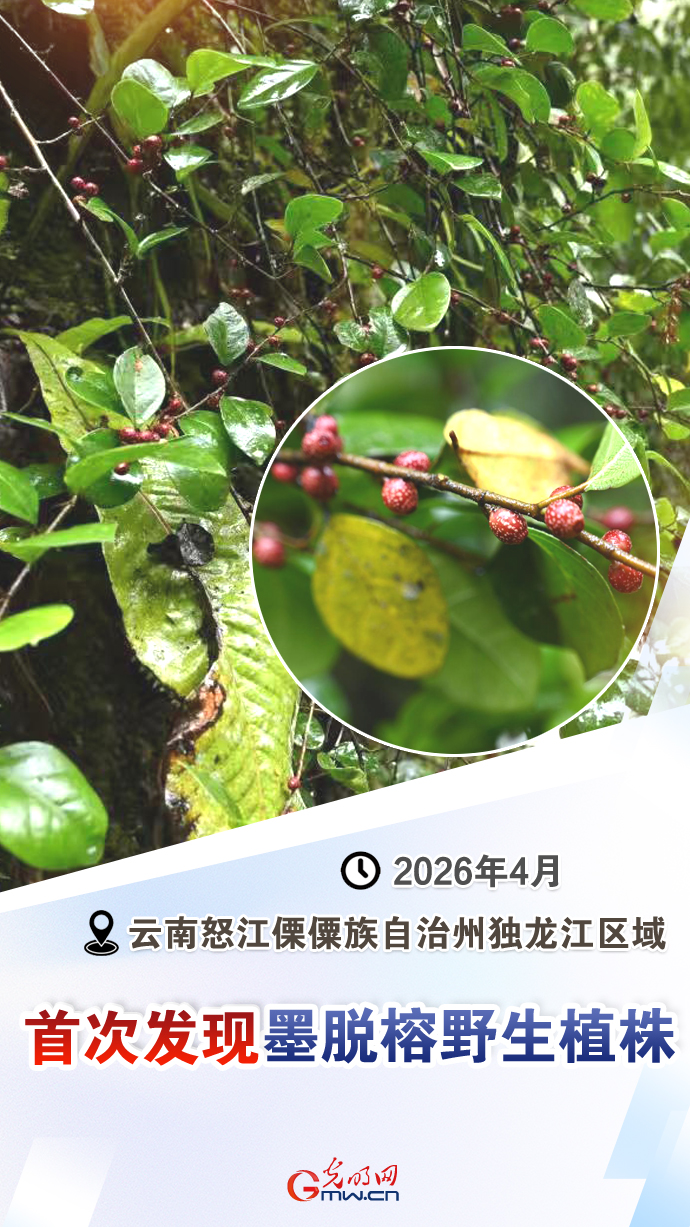 【国际生物多样性日】这些“首次”见证生态环境持续向好 【国际生物多样性日】这些“首次”见证生态环境持续向好