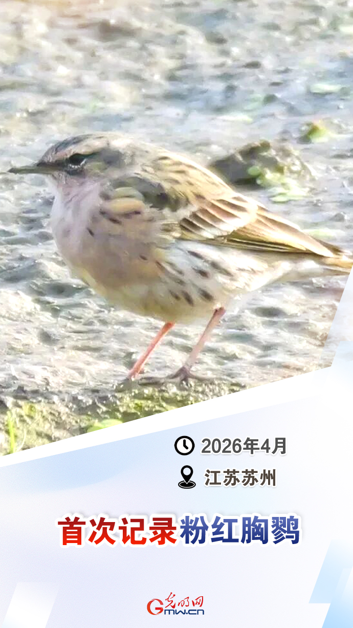 【国际生物多样性日】这些“首次”见证生态环境持续向好 【国际生物多样性日】这些“首次”见证生态环境持续向好