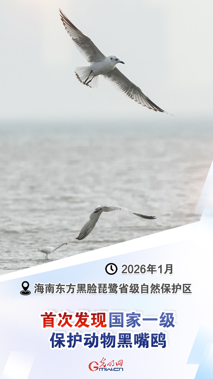【国际生物多样性日】这些“首次”见证生态环境持续向好 【国际生物多样性日】这些“首次”见证生态环境持续向好