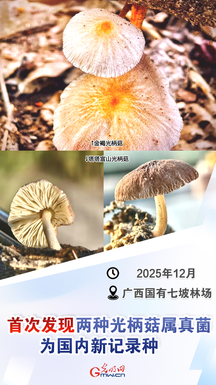 【国际生物多样性日】这些“首次”见证生态环境持续向好 【国际生物多样性日】这些“首次”见证生态环境持续向好
