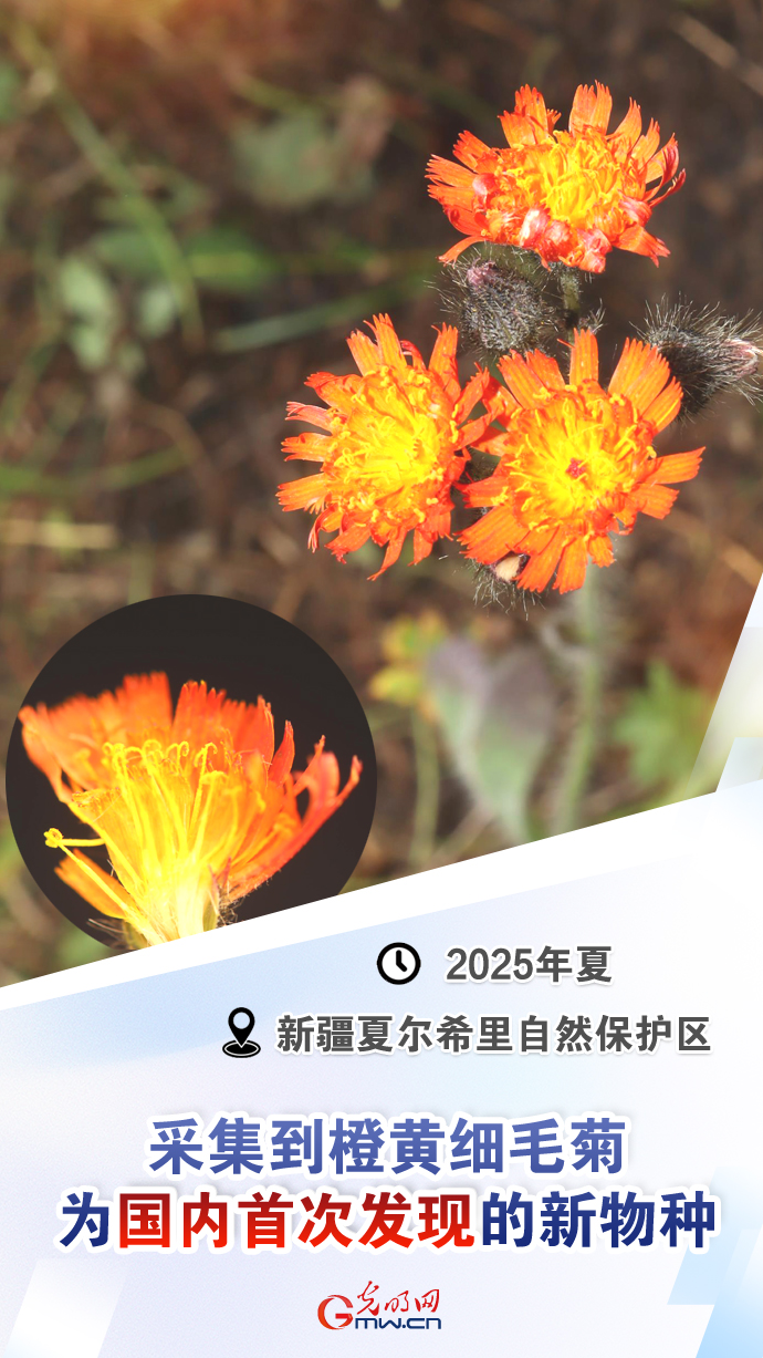 【国际生物多样性日】这些“首次”见证生态环境持续向好 【国际生物多样性日】这些“首次”见证生态环境持续向好
