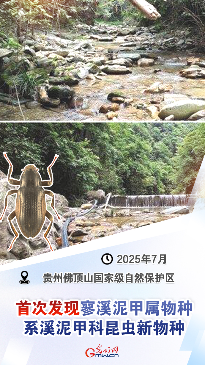 【国际生物多样性日】这些“首次”见证生态环境持续向好 【国际生物多样性日】这些“首次”见证生态环境持续向好
