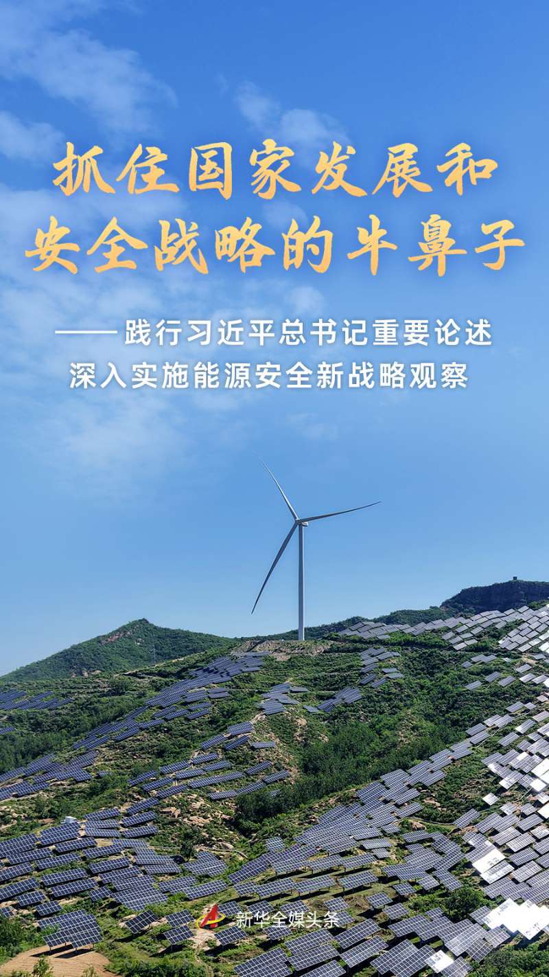 践行习近平总书记重要论述深入实施能源安全新战略