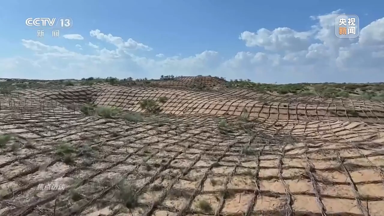 焦点访谈丨扎根民生一线 他们用初心温暖民心