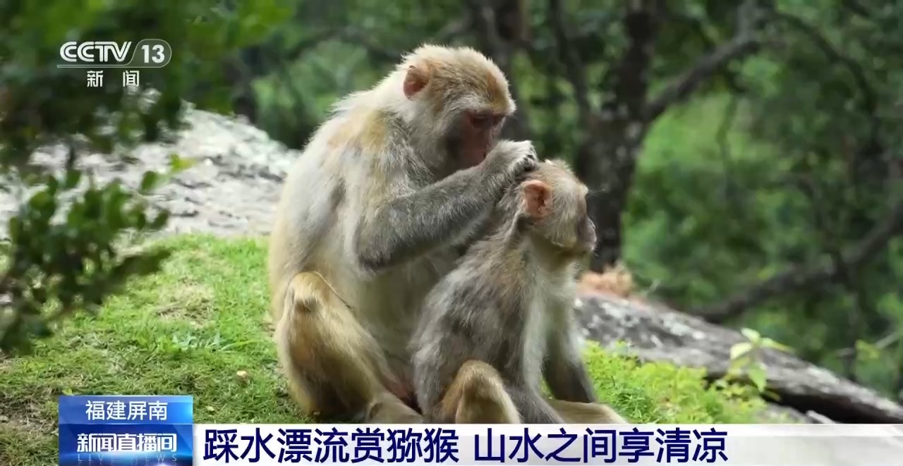 视频丨消暑旅游热度攀升 宝藏打卡地带你解锁清凉一夏