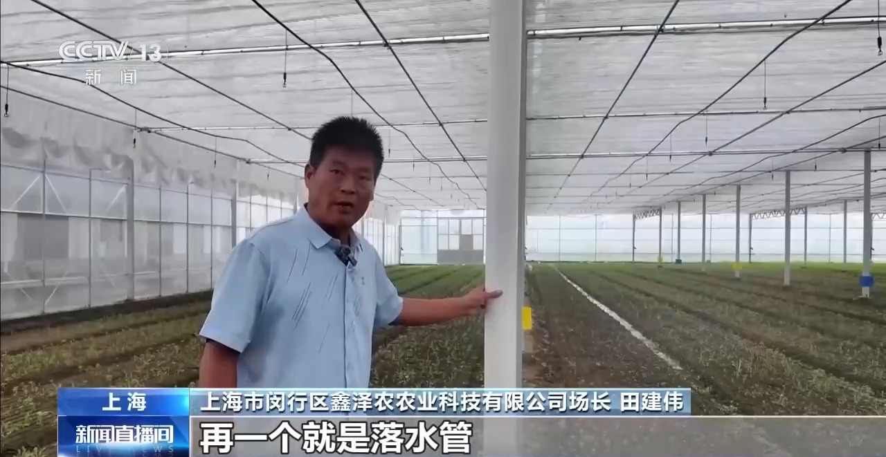台风天“菜篮子”供应有保障 浙沪生活必需品储备充足