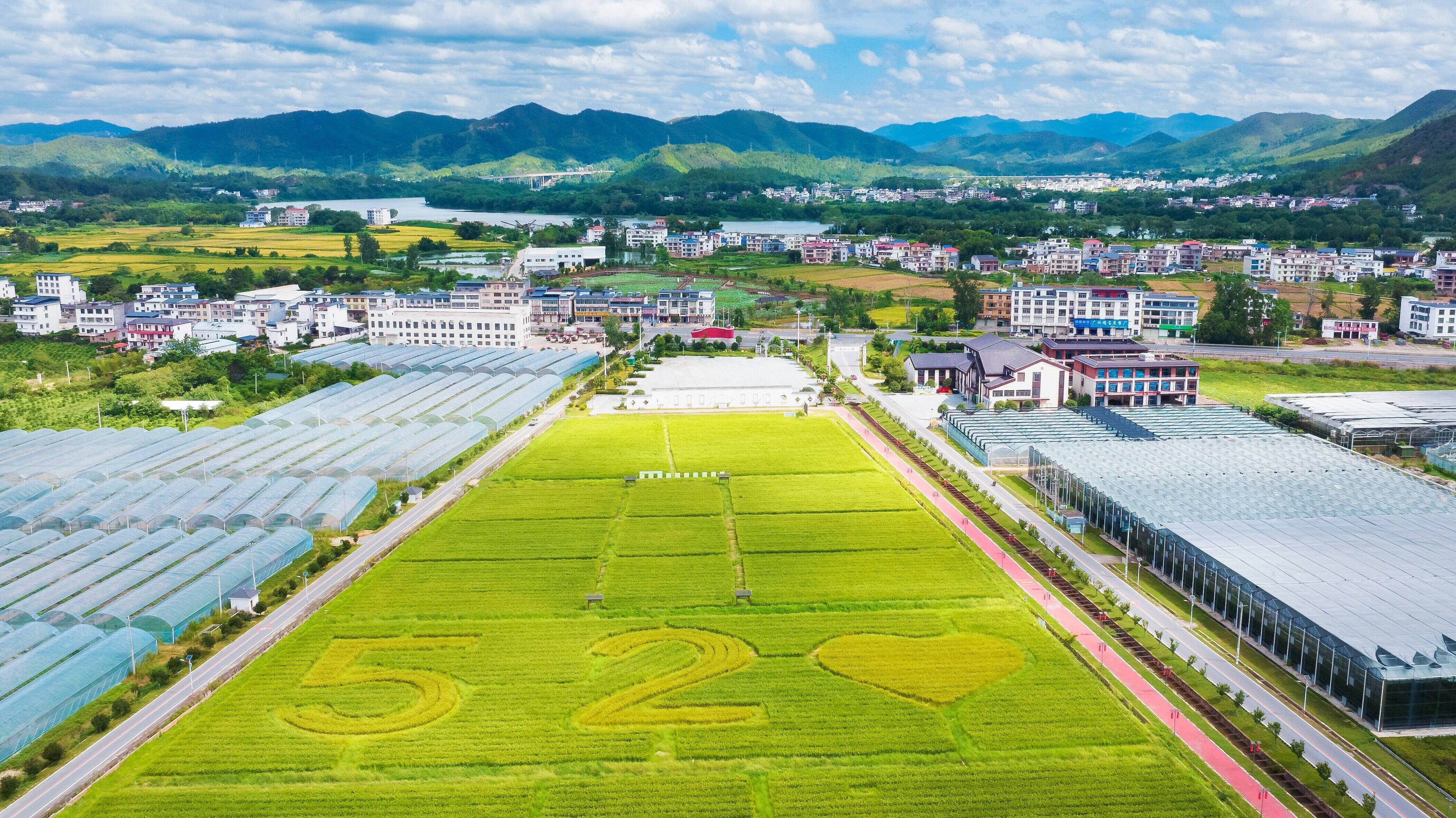 赓续长征精神 奋进复兴征程|90年后 红土地长出多巴胺富硒农产品