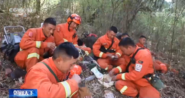 【新春走基层】西藏日喀则：我在喜马拉雅守护森林