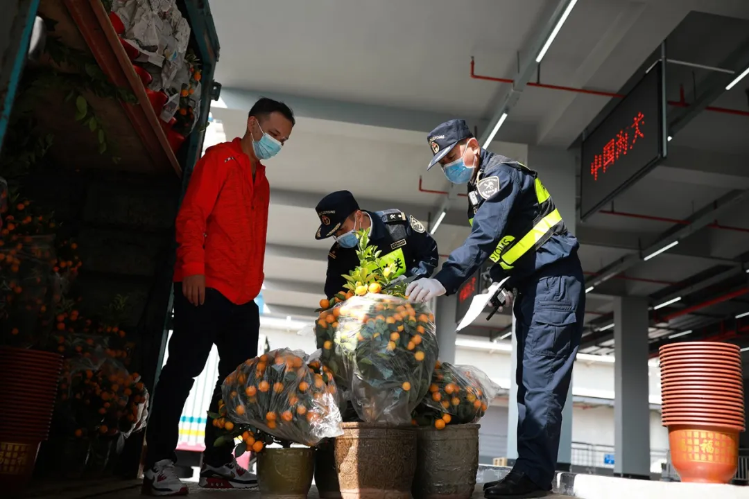 新春走基层｜我在港珠澳大桥上过大年