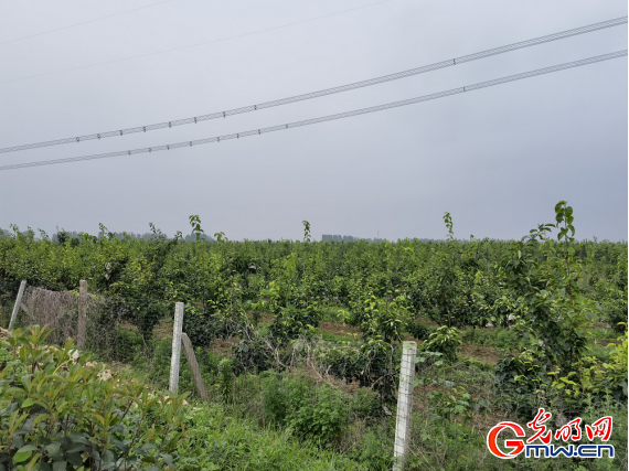 【网络媒体革命老区行】昔日红军鏖战地 今日幸福小康村